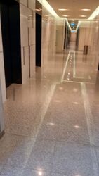 Sbf Center (D1), Office #529183181